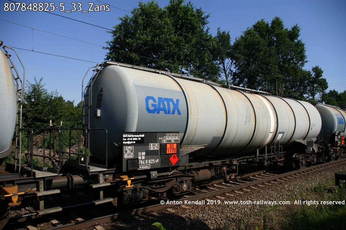807848825-5_33_Zans.jpg